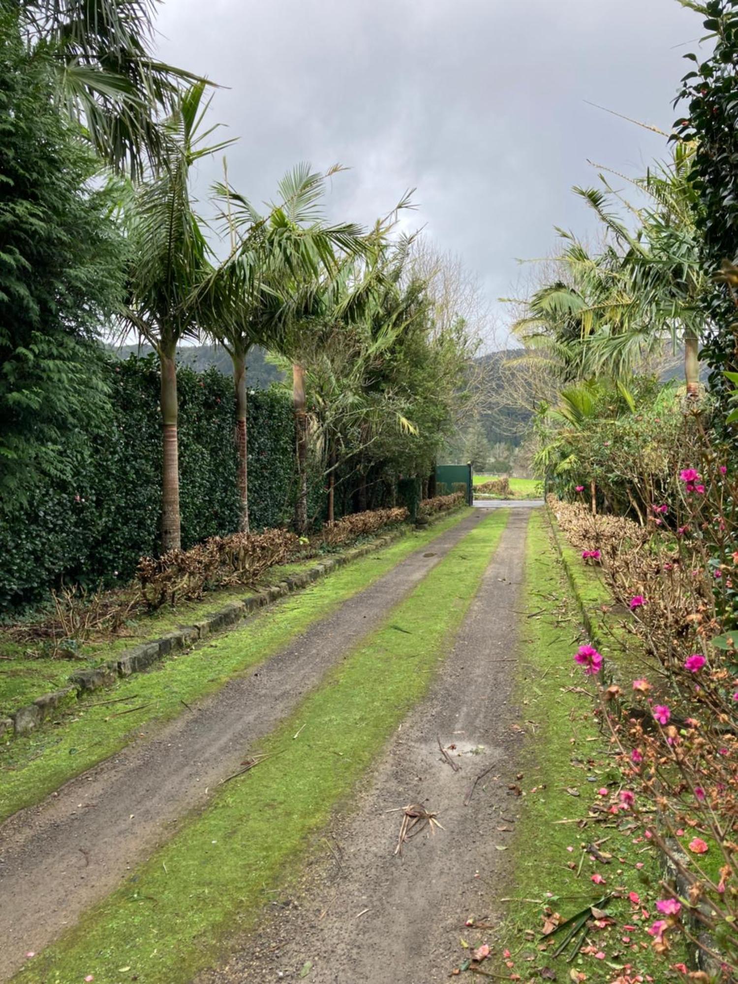 Quinta De Santana - Queimadas Furnas  Eksteriør bilde